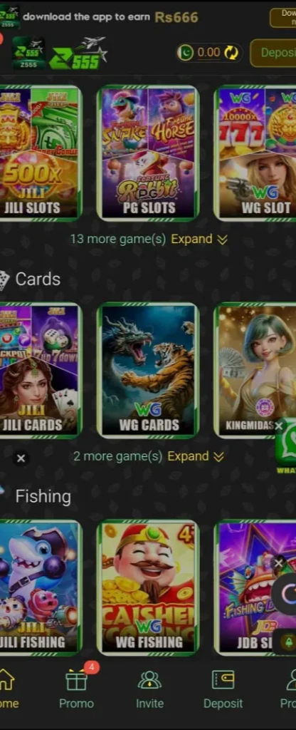 Z 555 Game